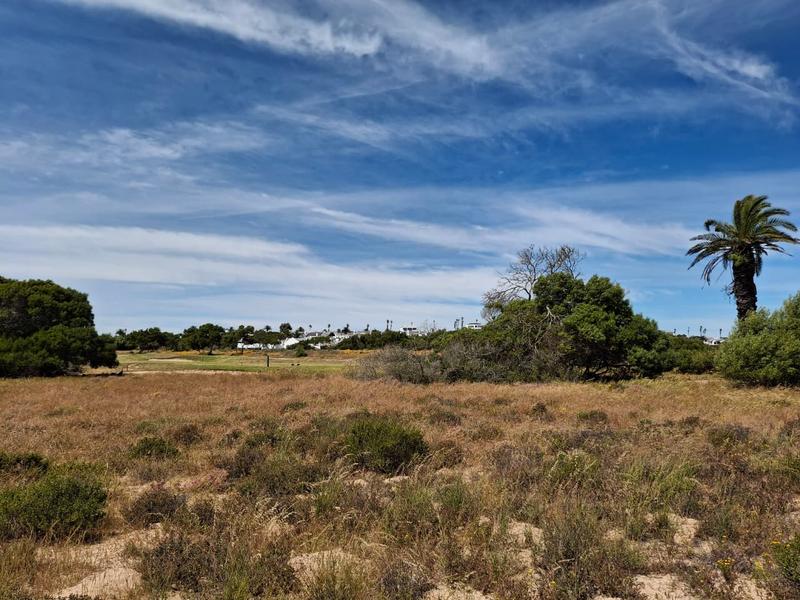 0 Bedroom Property for Sale in Shelley Point Western Cape